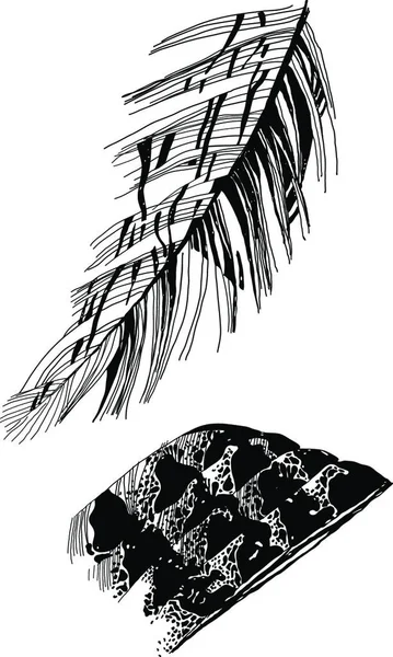 Desen Pene Pasăre Ilustrație Vectorială Grafică — Vector de stoc
