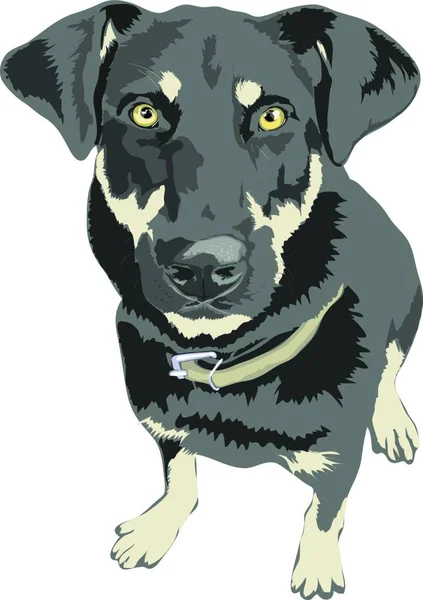 白いベクトル図に隔離された犬 — ストックベクタ