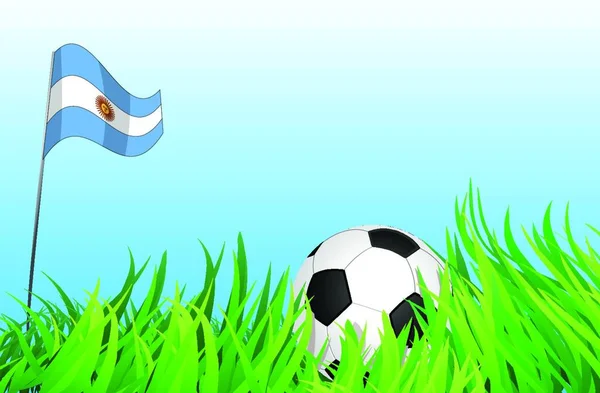Voetbalveld Argentijnse Vlag — Stockvector