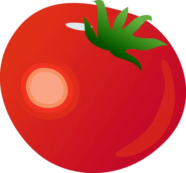 Czerwony Dojrzały Pomidor Ilustracja Wektora Graficznego — Wektor stockowy