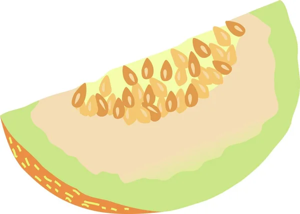 Slice Melon Graphic Vector Illustration — Stock Vector