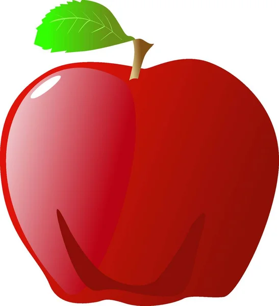 Red Apple Vector Illustration — Stock Vector