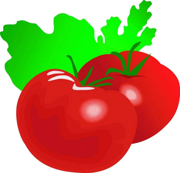 Tomat Matang Merah Gambar Vektor Gambar - Stok Vektor