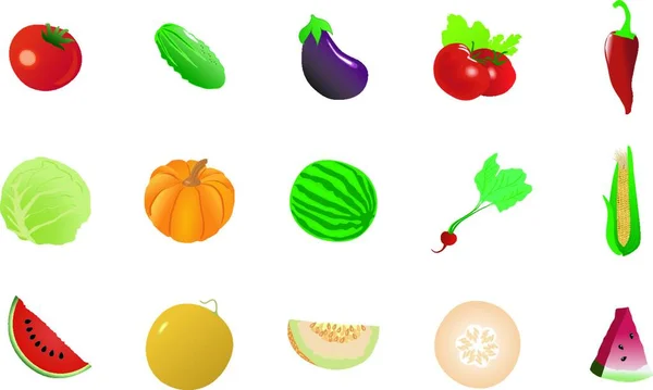 Великий Набір Різних Овочів Графічна Векторна Ілюстрація — стоковий вектор