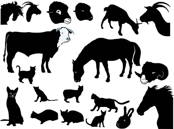 家畜のシルエットのセット グラフィックベクトルイラスト — ストックベクタ
