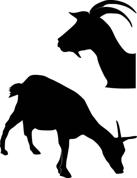 Set Silhouettes Goat Graphic Vector Illustration — Stock Vector