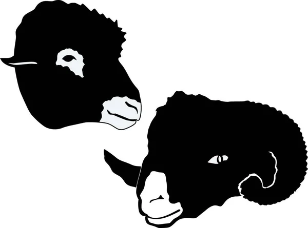 Set Ram Sheep — Stock Vector