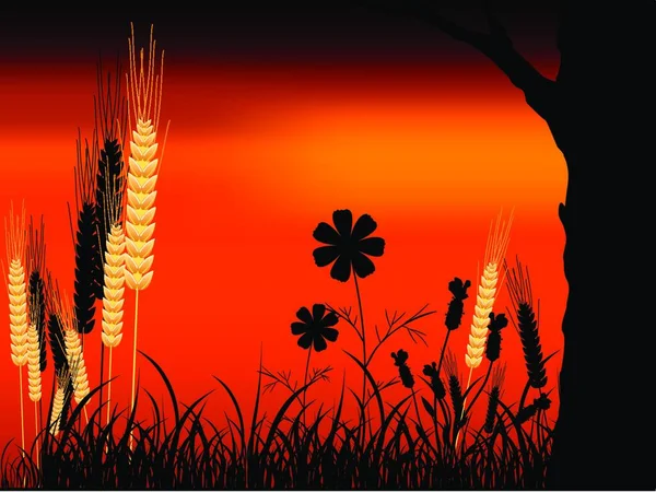 日落和小麦 矢量图解简单设计 — 图库矢量图片
