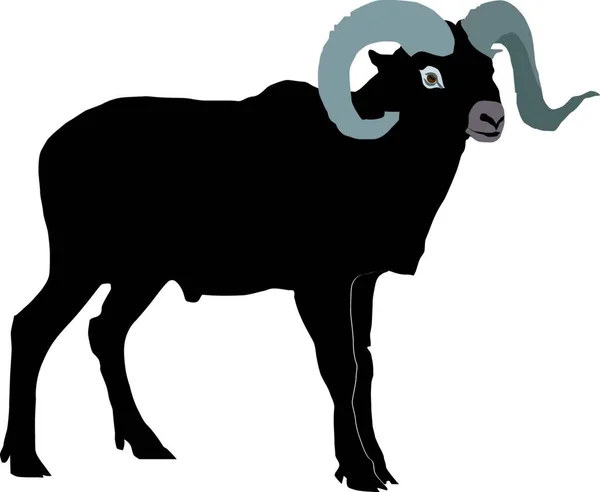 Mouflon Ilustração Vetorial Design Simples — Vetor de Stock