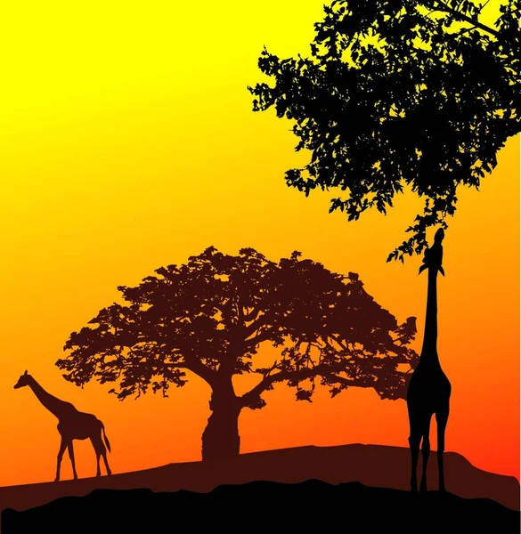 Жирафы Рядом Деревьями Векторная Иллюстрация Простой Дизайн — стоковый вектор