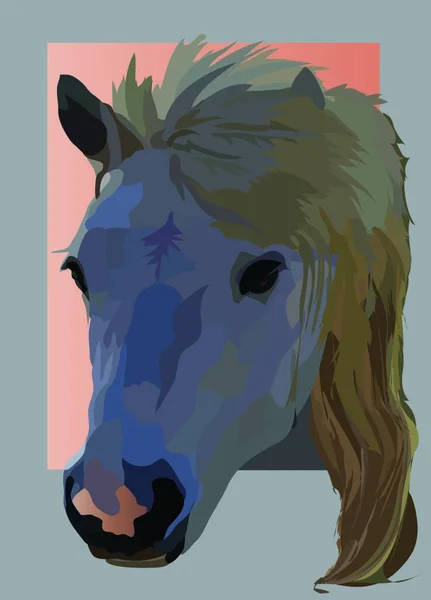 Pet Horse Vector Illustration — Stock Vector