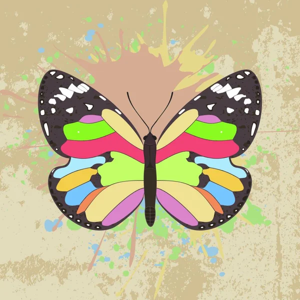 Papillon Aux Ailes Illustration Artistique Créative — Image vectorielle