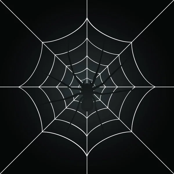 Spinne Grafischer Vektor Hintergrund — Stockvektor