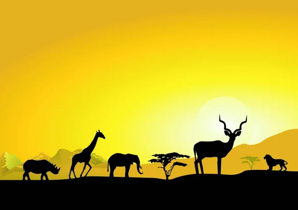 Африканские Животные Саванне Красочная Иллюстрация — стоковый вектор