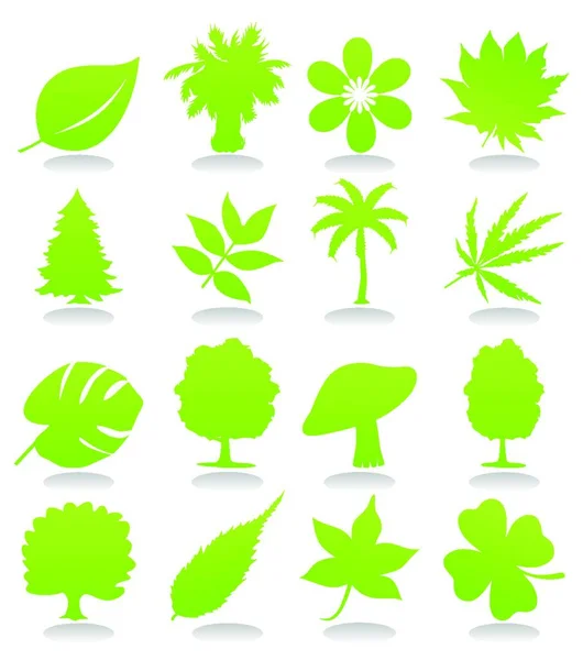 Icônes Plante Fond Vectoriel Graphique — Image vectorielle