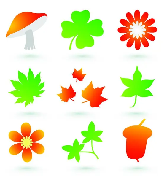 Ikony Lesních Rostlin Barevné Vektorové Ilustrace — Stockový vektor