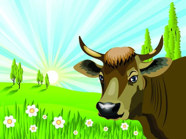 Kráva Poli Grafické Vektorové Pozadí — Stockový vektor