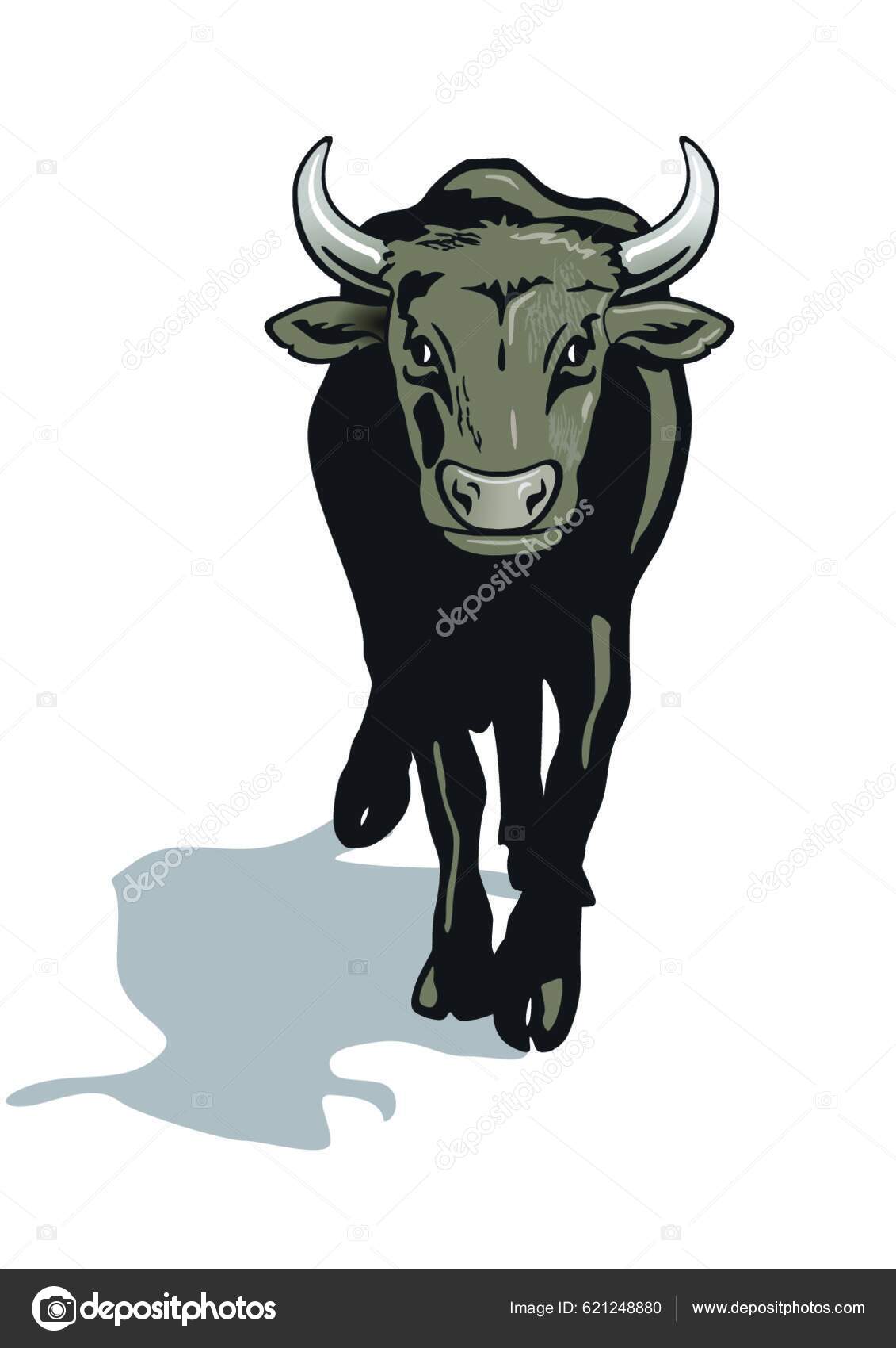 Bull Graphic Vector Illustration Stock Vector by ©YAY_Images 621248880