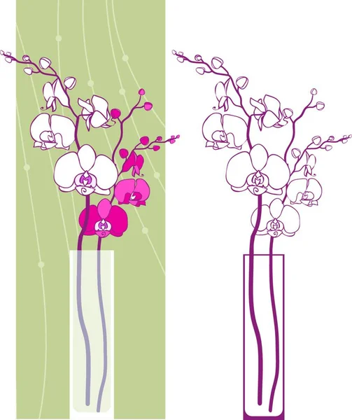 Vazolarda Orkideler Vektör Illüstrasyonu — Stok Vektör