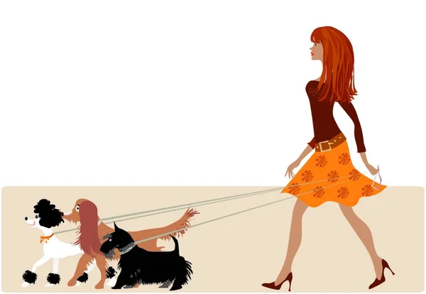 Walking Dogs Vector Illustration — Stock Vector