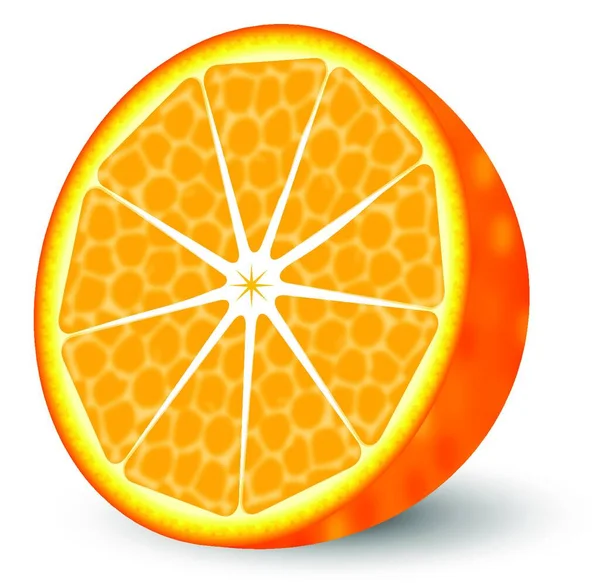 Ilustracja Pomarańczowa Ilustracja Wektora — Wektor stockowy