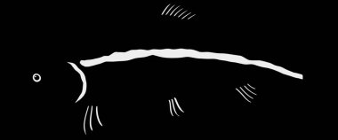 Alabalık silueti, grafik vektör çizimi 