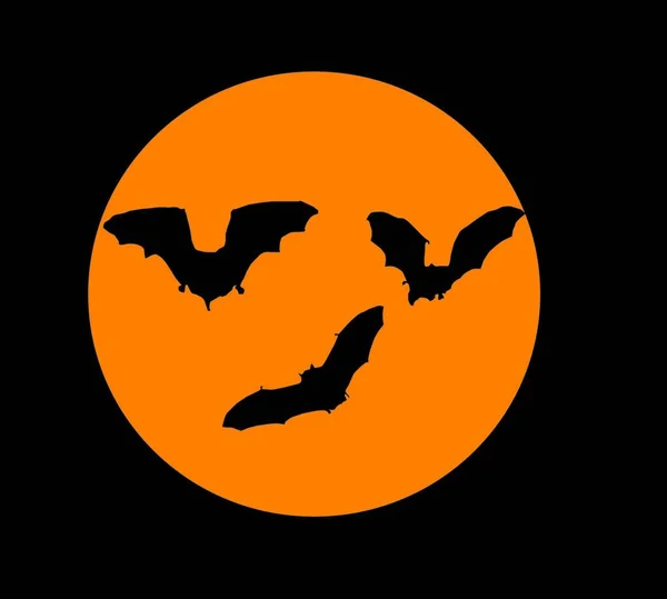 Murciélagos Luna Ilustración Vectorial Gráfica — Vector de stock