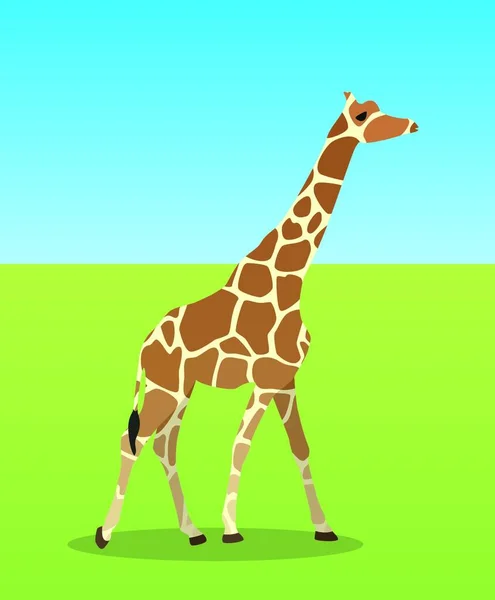 Girafe Illustration Vectorielle Graphique — Image vectorielle