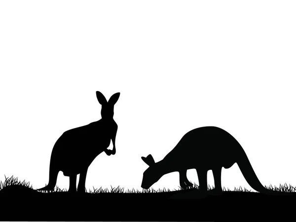 Kangaroo Sylwetka Kolorowe Wektor Ilustracji — Wektor stockowy