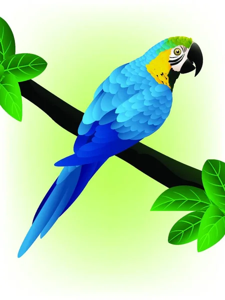 Aras Bleu Illustration Vectorielle Colorée — Image vectorielle