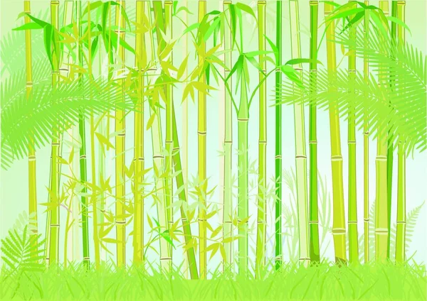 Bambusowa Dżungla Kolorowe Wektor Ilustracji — Wektor stockowy