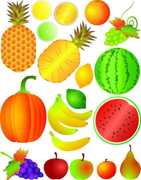Früchte Legen Sie Vektor Illustration — Stockvektor