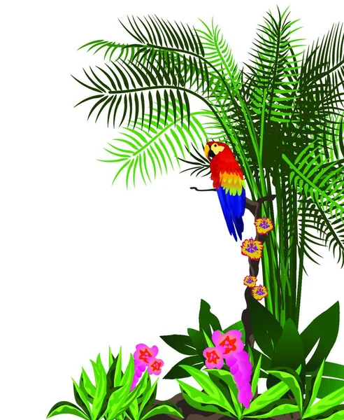 Papagei Bunte Vektorillustration — Stockvektor