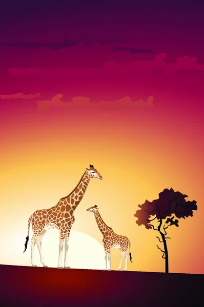 Giraffes Modern Vector Illustration — Stock Vector