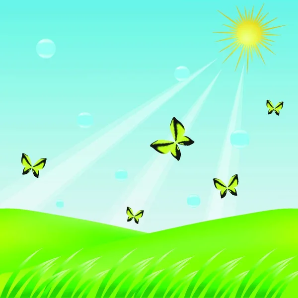 Butterflies Graphic Vector Illustration — Stock Vector