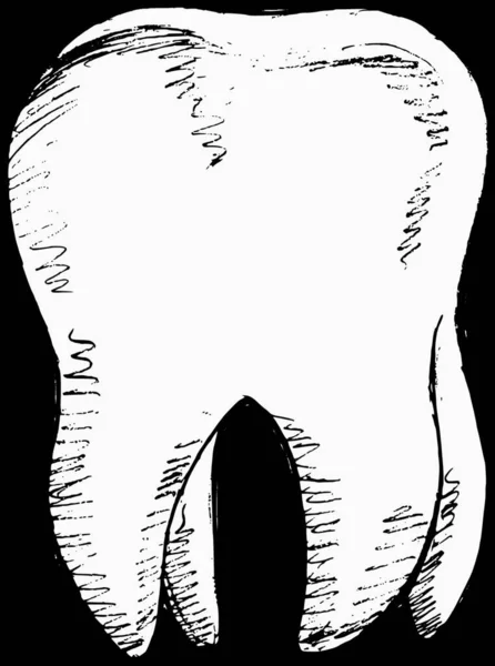 Design Menschlicher Zähne Vektorillustration — Stockvektor