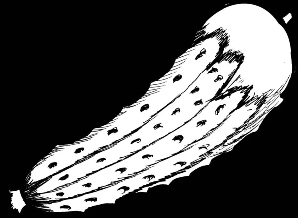 キュウリのアイコン ベクトル図 — ストックベクタ