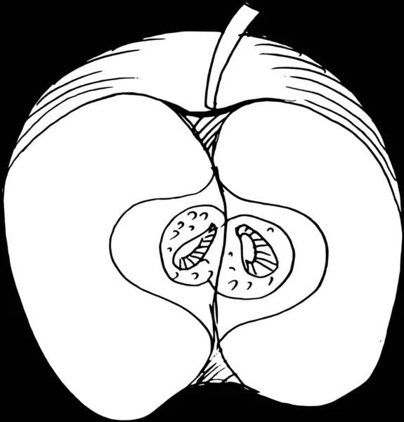 Резание Векторной Иллюстрации Яблока — стоковый вектор