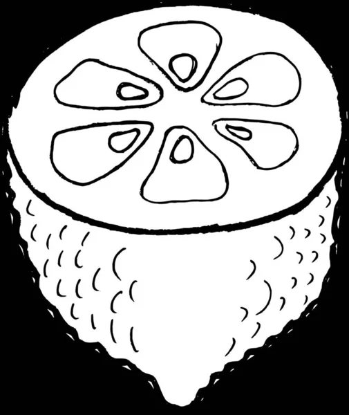 Illustration Vectorielle Citron Bio Frais — Image vectorielle