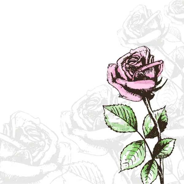 玫瑰花的例证 花卉概念 — 图库矢量图片