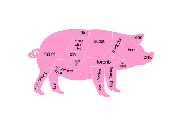 Vector Illustration Pork Chart — Stock Vector