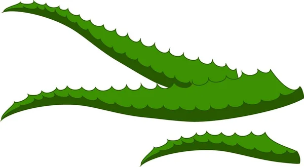Ilustración Vectores Aloe Vera Verde — Archivo Imágenes Vectoriales