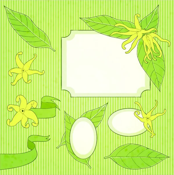 Ylang Ylang Λουλούδι Σύνολο — Διανυσματικό Αρχείο