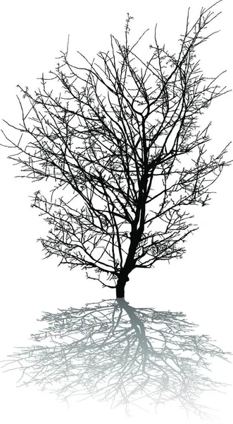 Projeto Árvore Abstrata Ilustração Vetorial — Vetor de Stock