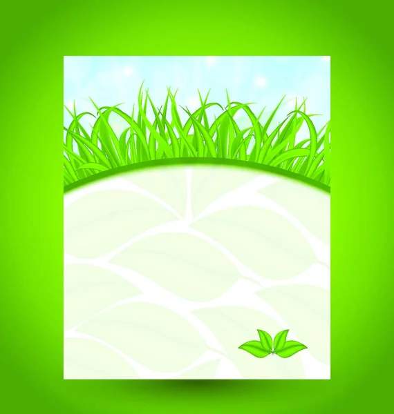 Ecology Card Green Grass Eco Leaves — Stock Vector