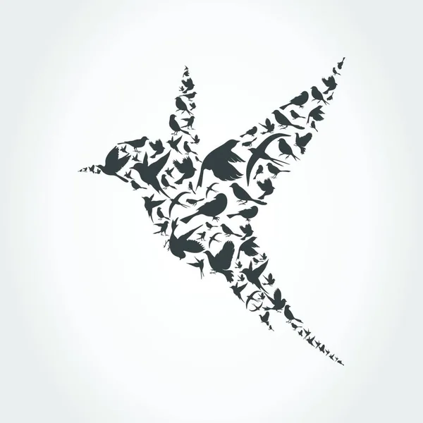 Oiseau Illustration Vectorielle Colorée — Image vectorielle
