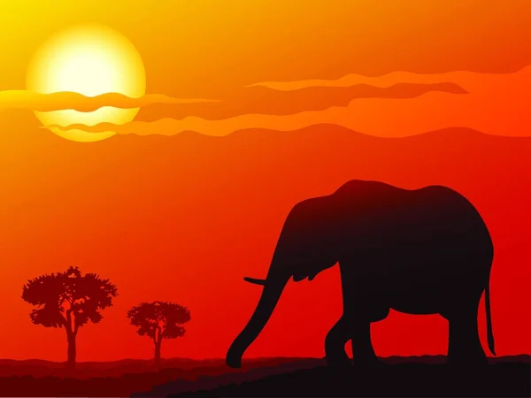 日落时大象的图标矢量图解 — 图库矢量图片