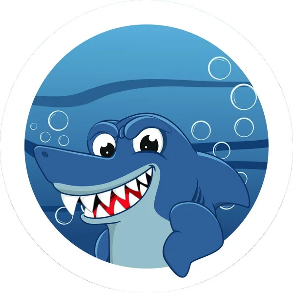 Shark Mascot Colorful Vector Illustration — Stock Vector