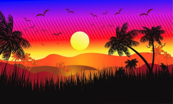 Pôr Sol Tropical Ilustração Vetorial Colorido — Vetor de Stock