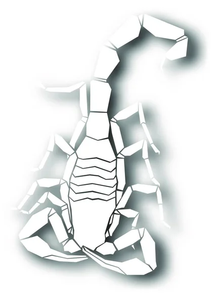 Ilustracja Projektu Skorpiona Cutout — Wektor stockowy